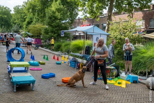 Foto bij Sport- & Cultuurfestival