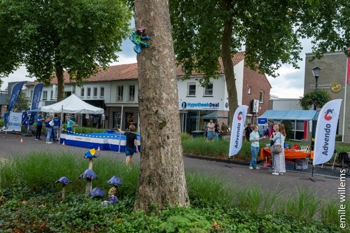 Foto bij Sport- & Cultuurfestival