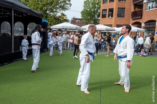 Foto bij Sport- & Cultuurfestival