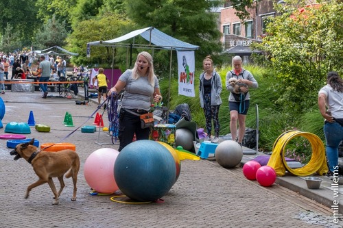 Foto bij Sport- & Cultuurfestival