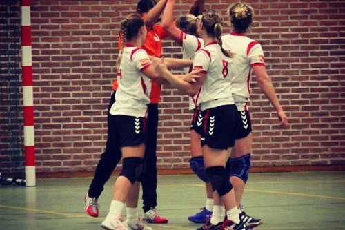 Foto bij Handbalvereniging Haarle