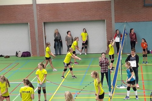 Foto bij Voveda Volleybal vereniging 